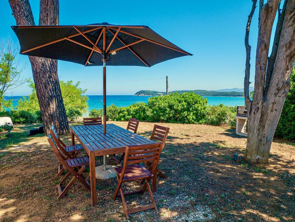 Villa Tanaquilla Baratti Dış mekan fotoğraf